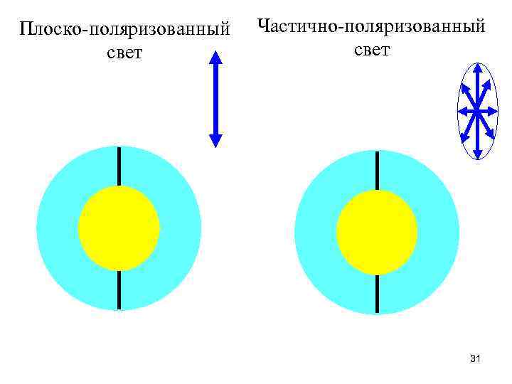 Плоско-поляризованный свет Частично-поляризованный свет 31 