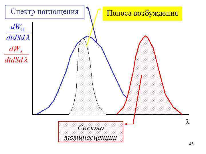 Спектр поглощения Полоса возбуждения Спектр люминесценции 48 
