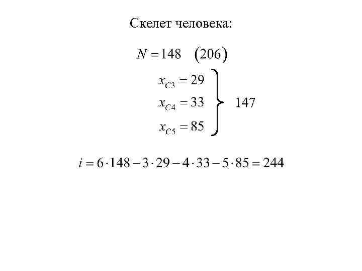 Скелет человека: 