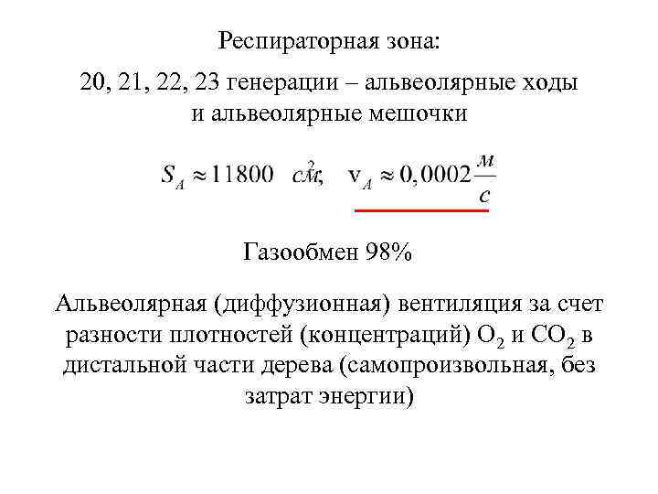 Респираторная зона: 20, 21, 22, 23 генерации – альвеолярные ходы и альвеолярные мешочки Газообмен