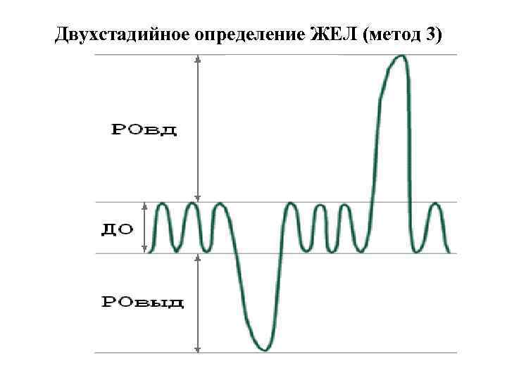 Двухстадийное определение ЖЕЛ (метод 3) 