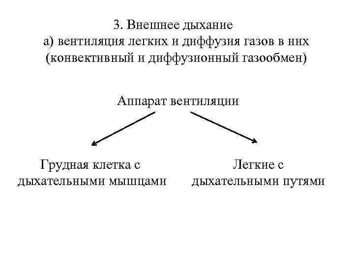 3. Внешнее дыхание а) вентиляция легких и диффузия газов в них (конвективный и диффузионный