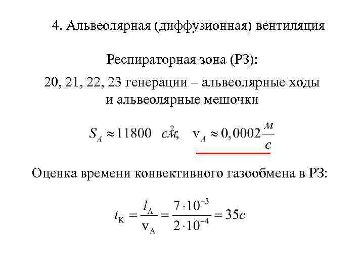 4. Альвеолярная (диффузионная) вентиляция Респираторная зона (РЗ): 20, 21, 22, 23 генерации – альвеолярные