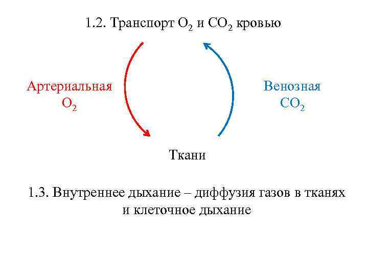 1. 2. Транспорт О 2 и СО 2 кровью Артериальная О 2 Венозная СО