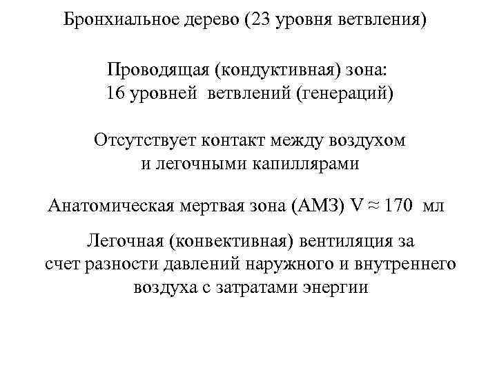 Бронхиальное дерево (23 уровня ветвления) Проводящая (кондуктивная) зона: 16 уровней ветвлений (генераций) Отсутствует контакт