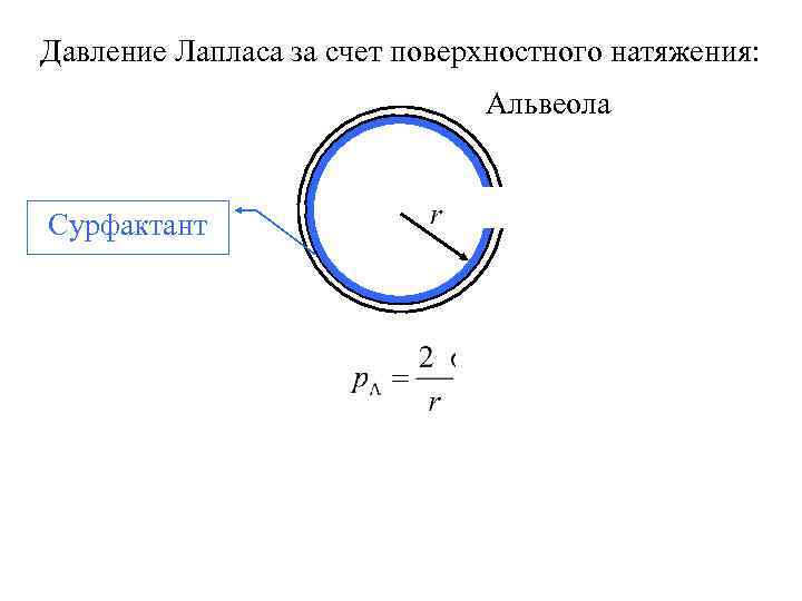 Давление поверхностного натяжения. Давление Лапласа. Формула Лапласа капиллярное давление. Формула Лапласа для избыточного давления. Уравнение Лапласа для давления.