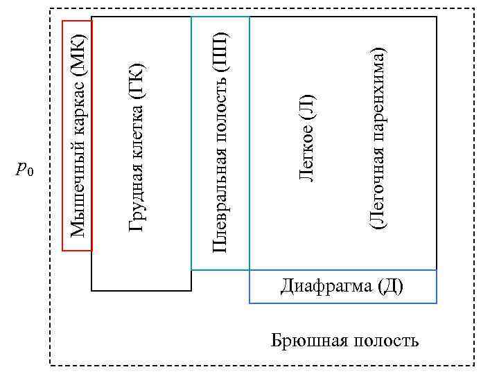 (Легочная паренхима) Легкое (Л) Плевральная полость (ПП) Грудная клетка (ГК) Мышечный каркас (МК) р0