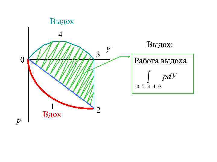 Выдох V Выдох: Работа выдоха р Вдох 