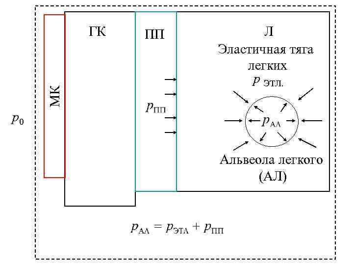 МК ГК ПП Л Эластичная тяга легких р ЭТЛ. р0 Альвеола легкого (АЛ) 