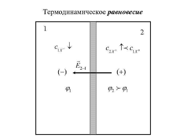 Термодинамическое равновесие 1 2 