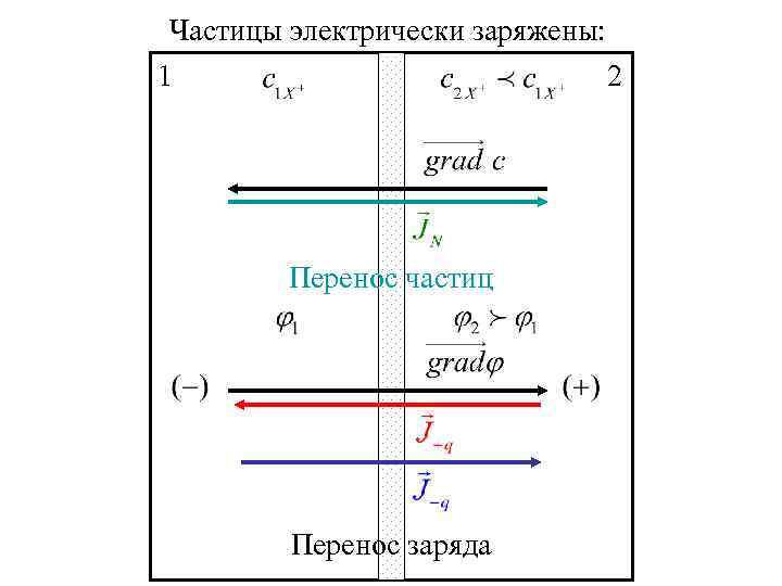 Частицы электрически заряжены: 1 2 Перенос частиц Перенос заряда 