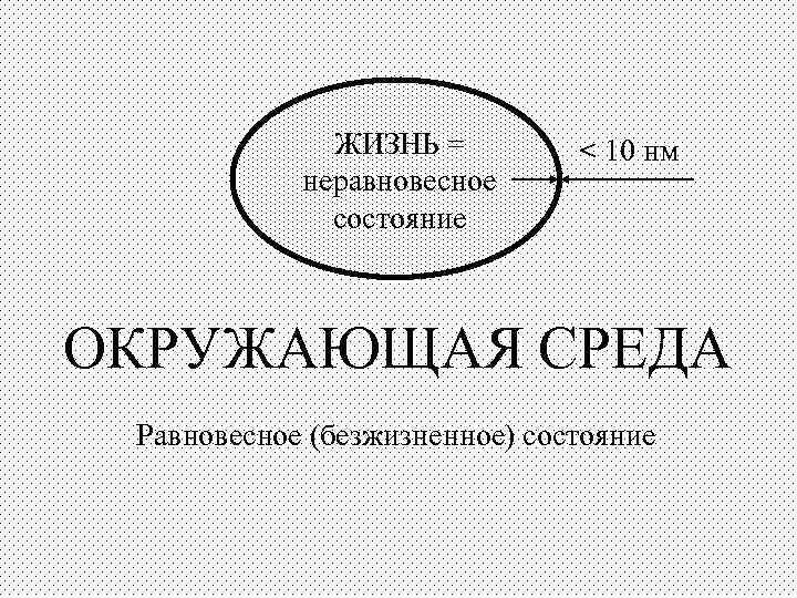 ЖИЗНЬ = неравновесное состояние < 10 нм ОКРУЖАЮЩАЯ СРЕДА Равновесное (безжизненное) состояние 