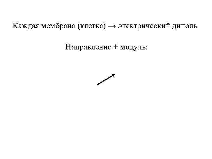 Каждая мембрана (клетка) → электрический диполь Направление + модуль: 
