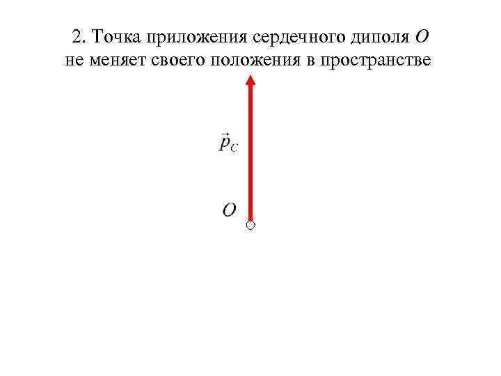 2. Точка приложения сердечного диполя О не меняет своего положения в пространстве 