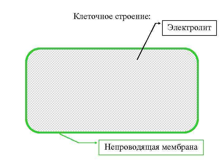 Клеточное строение: Электролит Непроводящая мембрана 