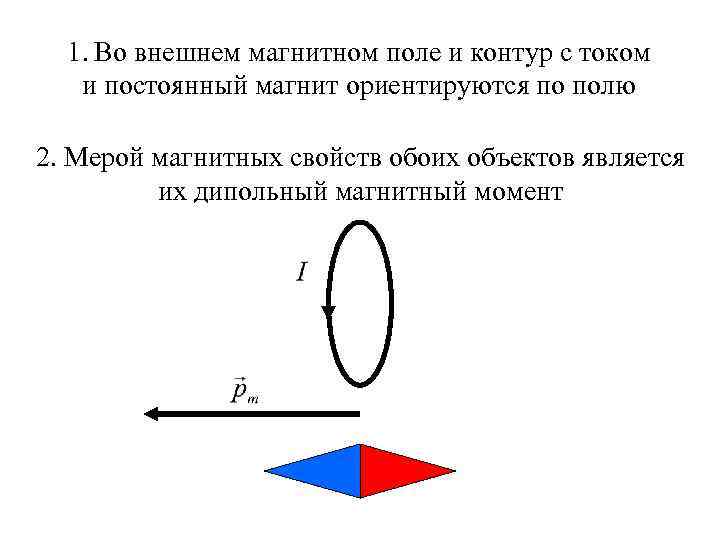 1. Во внешнем магнитном поле и контур с током и постоянный магнит ориентируются по