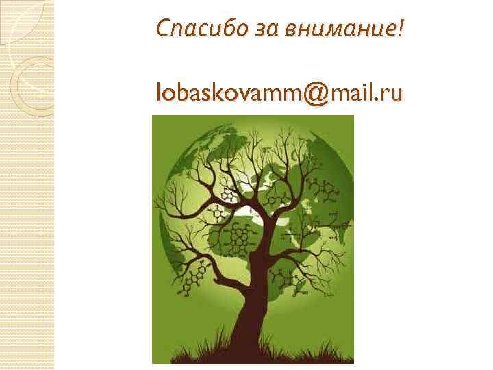 Спасибо за внимание! lobaskovamm@mail. ru 