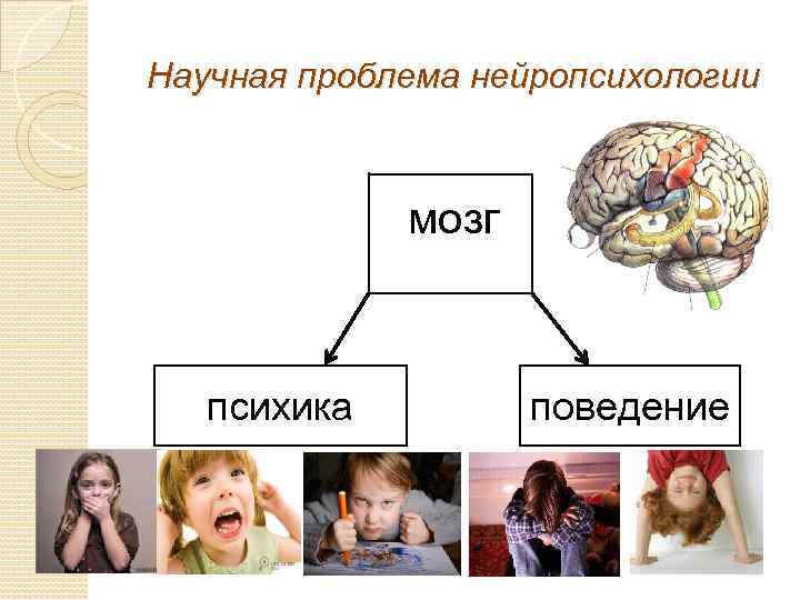 Научная проблема нейропсихологии мозг м психика поведение 