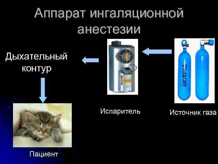 Правильно зафиксированный пациент в анестезии не нуждается картинка