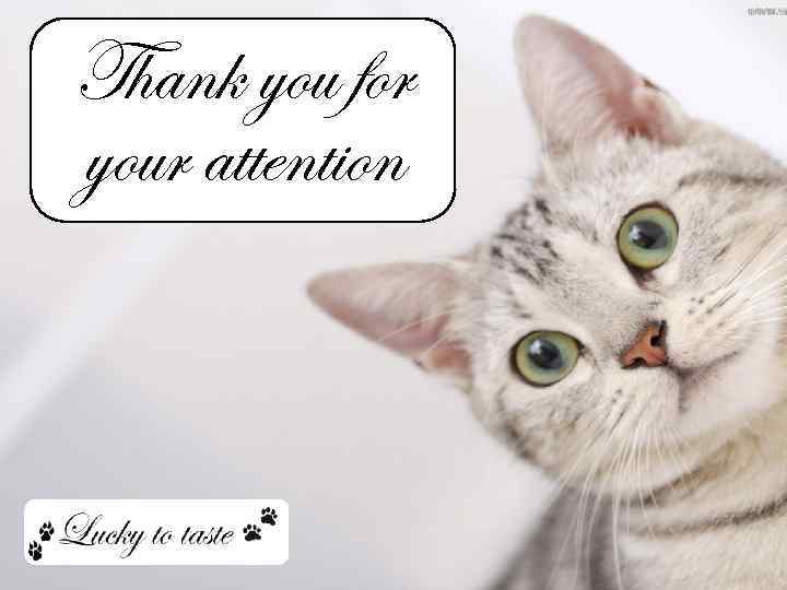 Thank you for your attention 