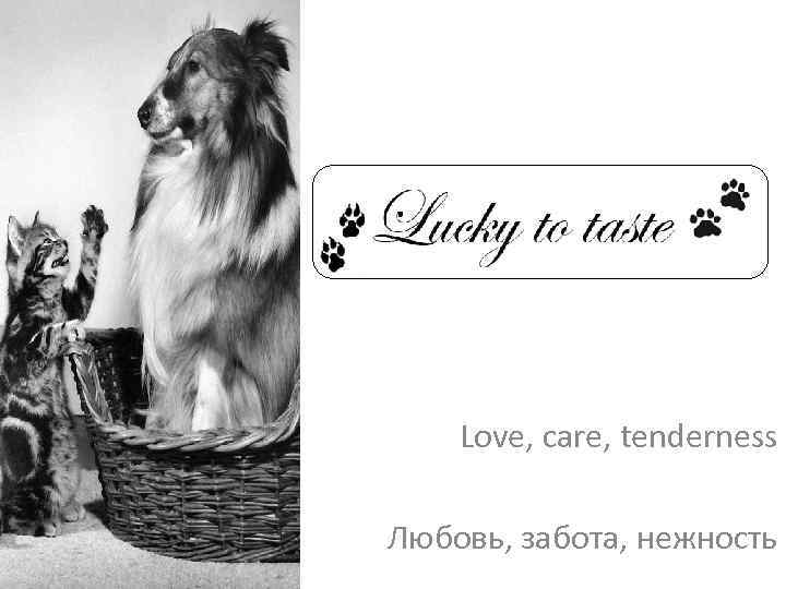  Love, care, tendеrness Любовь, забота, нежность 