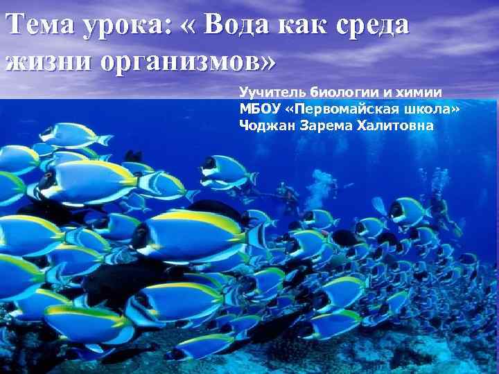 Тема урока: « Вода как среда жизни организмов» Уучитель биологии и химии МБОУ «Первомайская