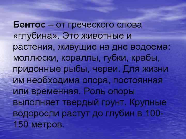 Бентос – от греческого слова «глубина» . Это животные и растения, живущие на дне