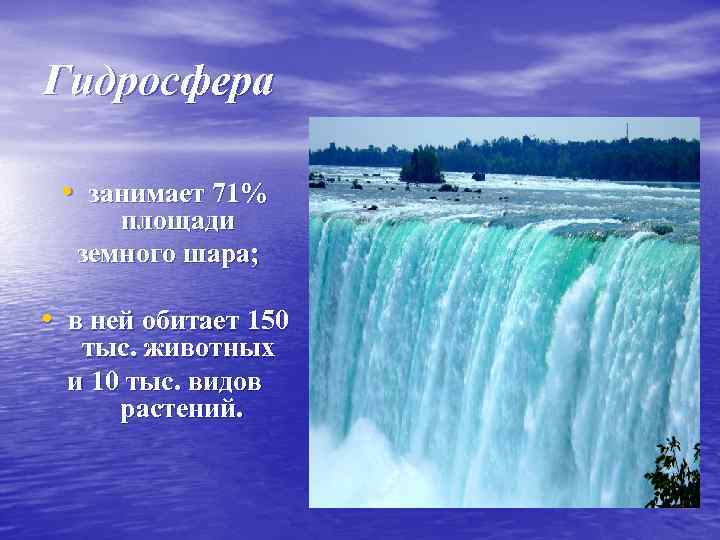 Гидросфера • занимает 71% площади земного шара; • в ней обитает 150 тыс. животных
