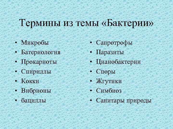 Термины из темы «Бактерии» • • Микробы Батериология Прокариоты Спириллы Кокки Вибрионы бациллы •