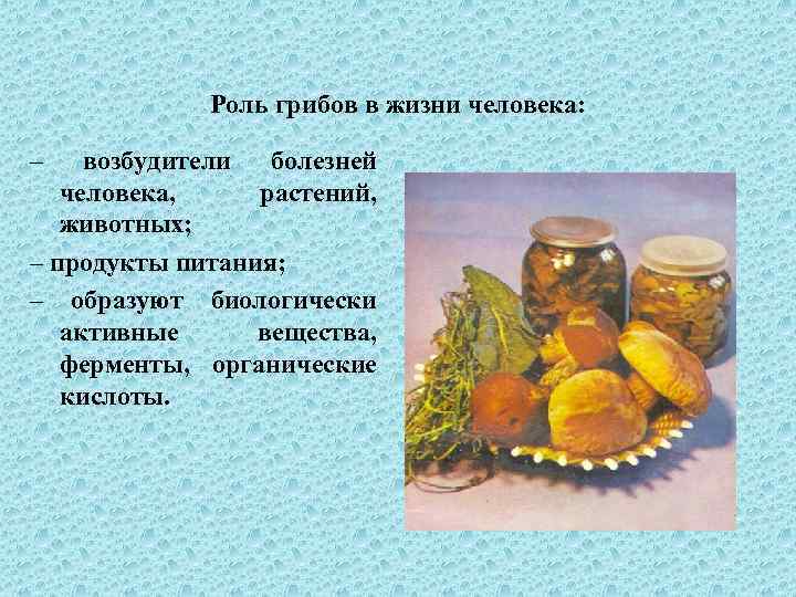 Роль грибов в жизни человека: – возбудители болезней человека, растений, животных; – продукты питания;