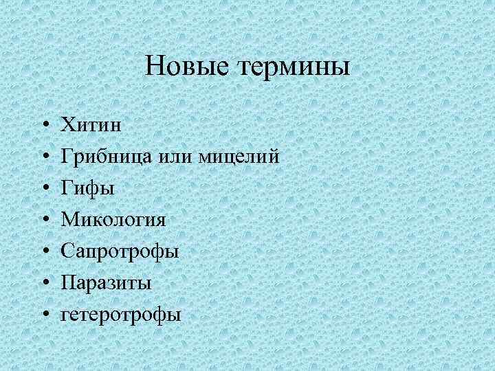 Новые термины • • Хитин Грибница или мицелий Гифы Микология Сапротрофы Паразиты гетеротрофы 