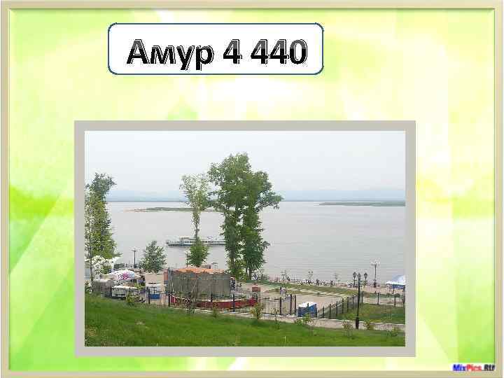 Амур 4 440 