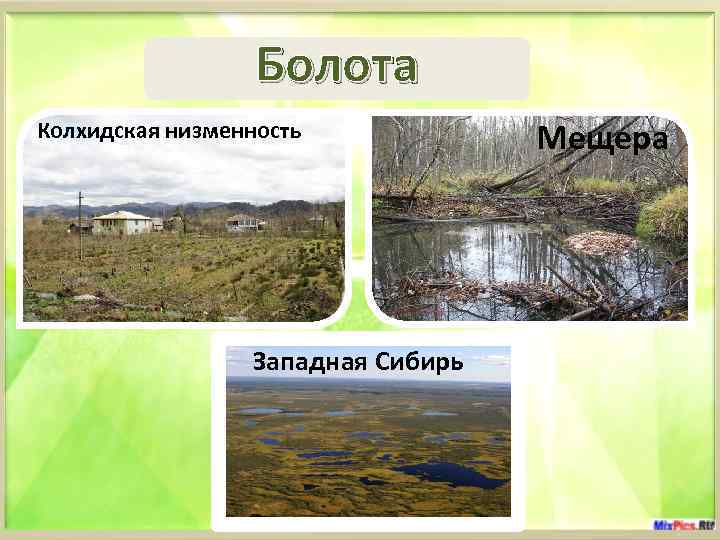 Карта болот западной сибири. Колхидская низменность болота. Низменности: , Колхидская низменность,. Колхидская низменность природная зона. Болота Евразии.