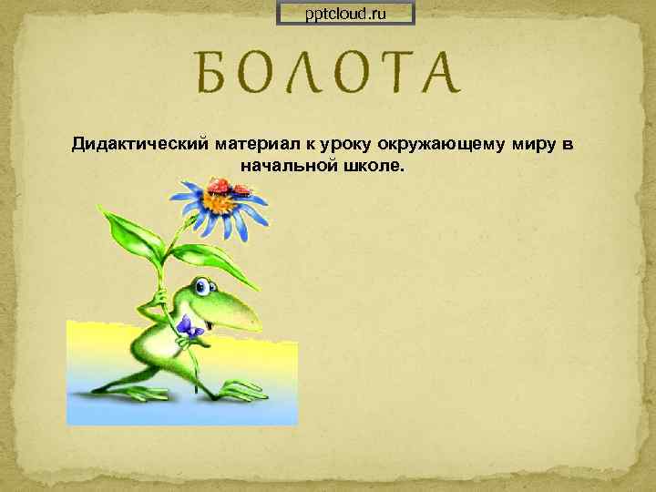 pptcloud. ru БОЛОТА Дидактический материал к уроку окружающему миру в начальной школе. 