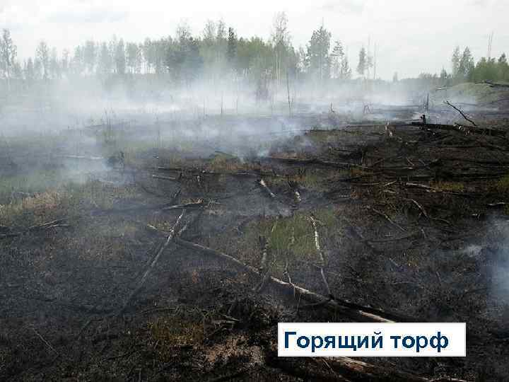 Горящий торф 