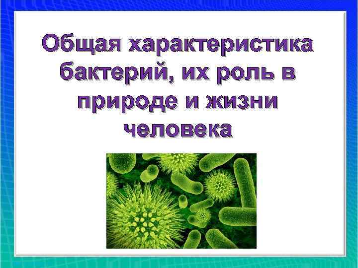 Общая характеристика бактерий, их роль в природе и жизни человека 