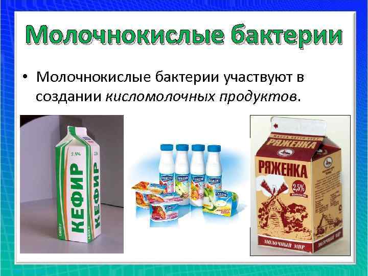 Молочнокислые бактерии • Молочнокислые бактерии участвуют в создании кисломолочных продуктов. 