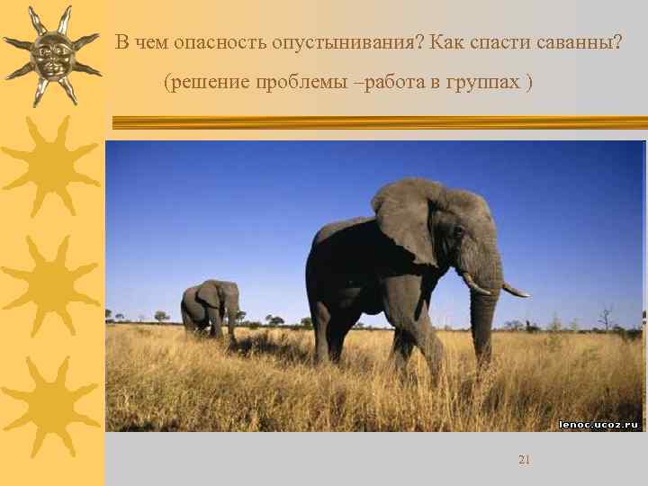 В чем опасность опустынивания? Как спасти саванны? (решение проблемы –работа в группах ) 21