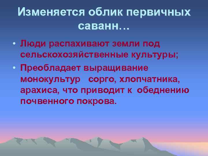 Изменяется облик первичных саванн… • Люди распахивают земли под сельскохозяйственные культуры; • Преобладает выращивание