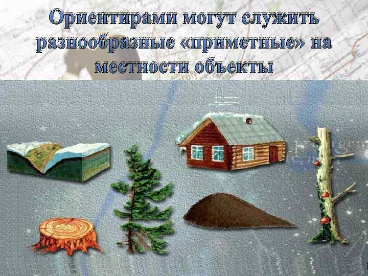 Ориентирами могут служить разнообразные «приметные» на местности объекты 