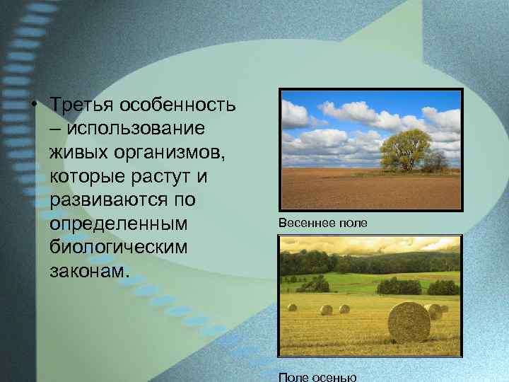  • Третья особенность – использование живых организмов, которые растут и развиваются по определенным
