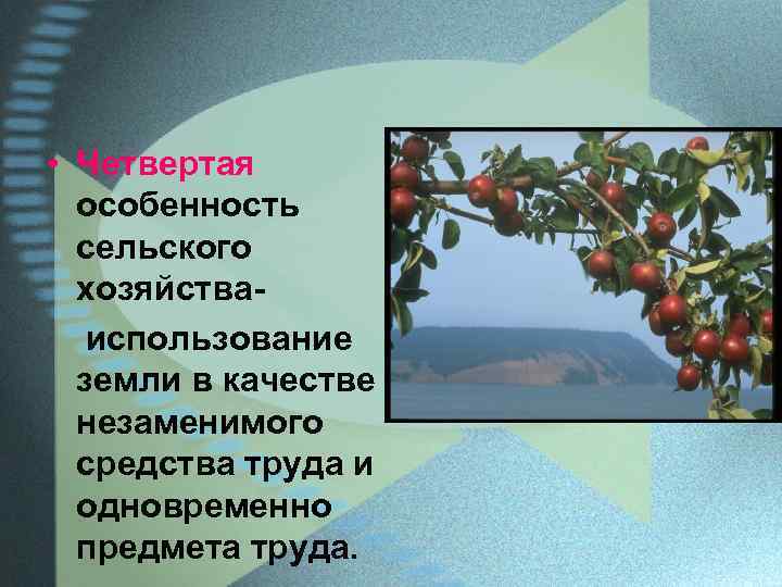  • Четвертая особенность сельского хозяйстваиспользование земли в качестве незаменимого средства труда и одновременно