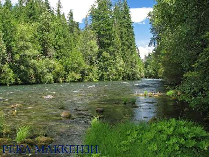 РЕКА МАККЕНЗИ. 9 