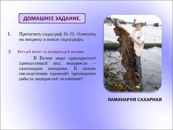 ДОМАШНЕЕ ЗАДАНИЕ. 1. Прочитать параграф № 22. Ответить на вопросы в конце параграфа. 2.