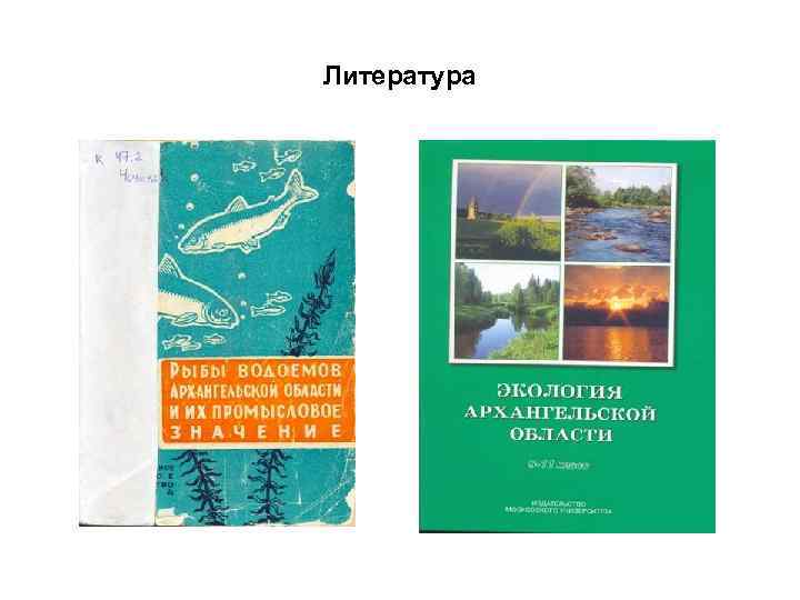Литература 