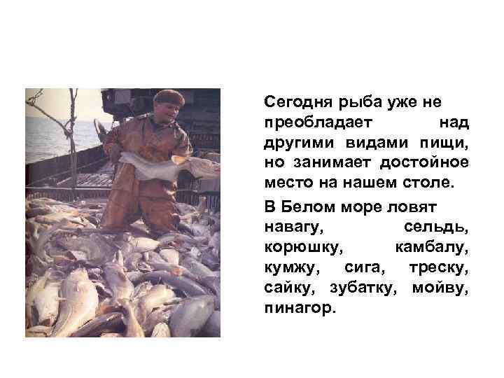 Сегодня рыба уже не преобладает над другими видами пищи, но занимает достойное место на