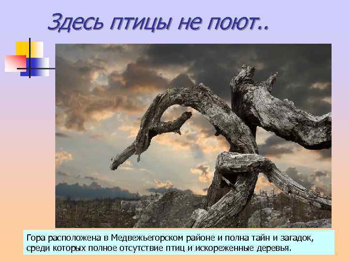 Здесь птицы не поют. . Гора расположена в Медвежьегорском районе и полна тайн и