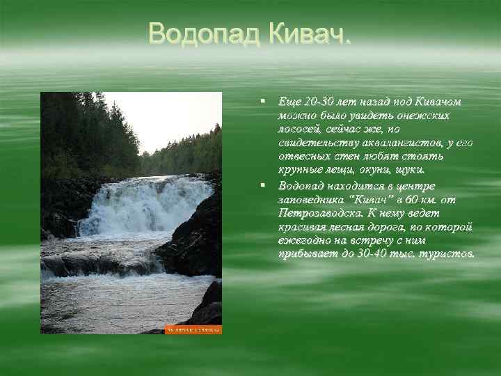 Водопад Кивач. § Еще 20 -30 лет назад под Кивачом можно было увидеть онежских