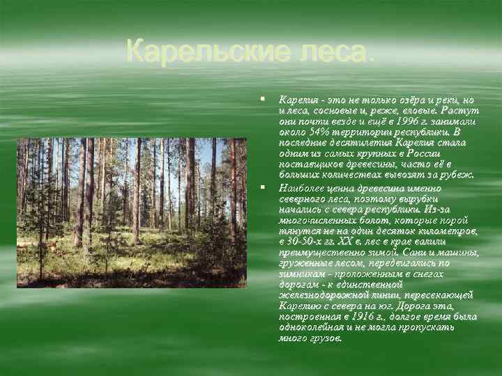 Карельские леса. § § Карелия - это не только озёра и реки, но и