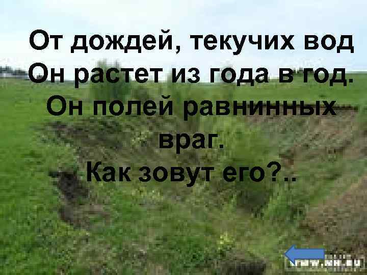 От дождей, текучих вод Он растет из года в год. Он полей равнинных враг.